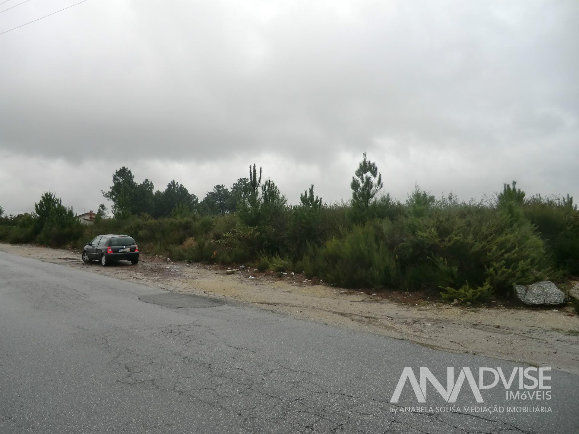 Lote de Terreno  Venda em São João de Lourosa,Viseu