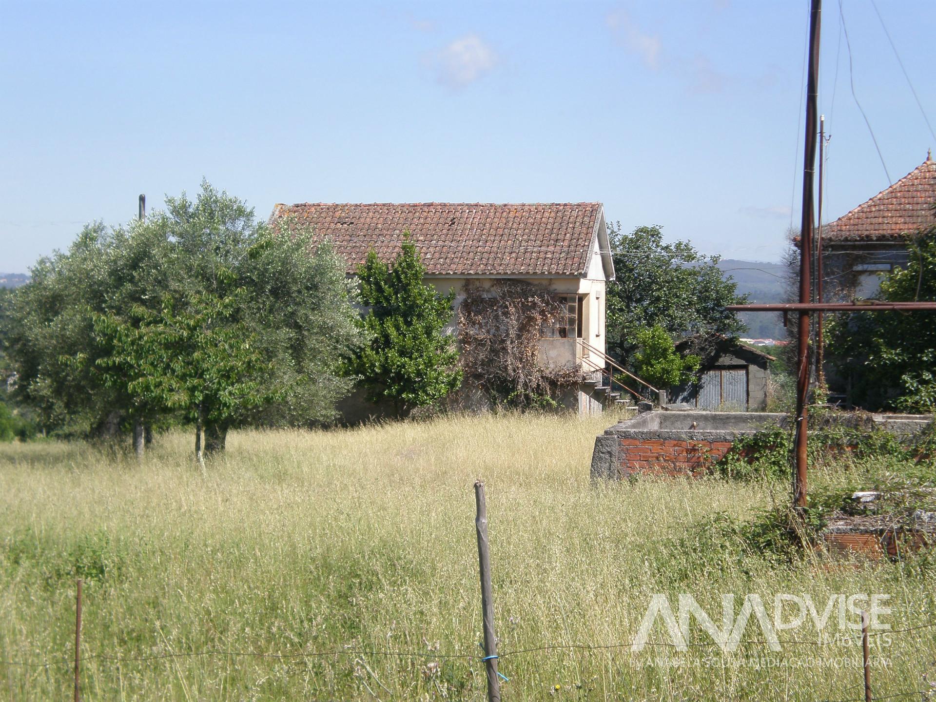 Lote de Terreno  Venda em Rio de Loba,Viseu