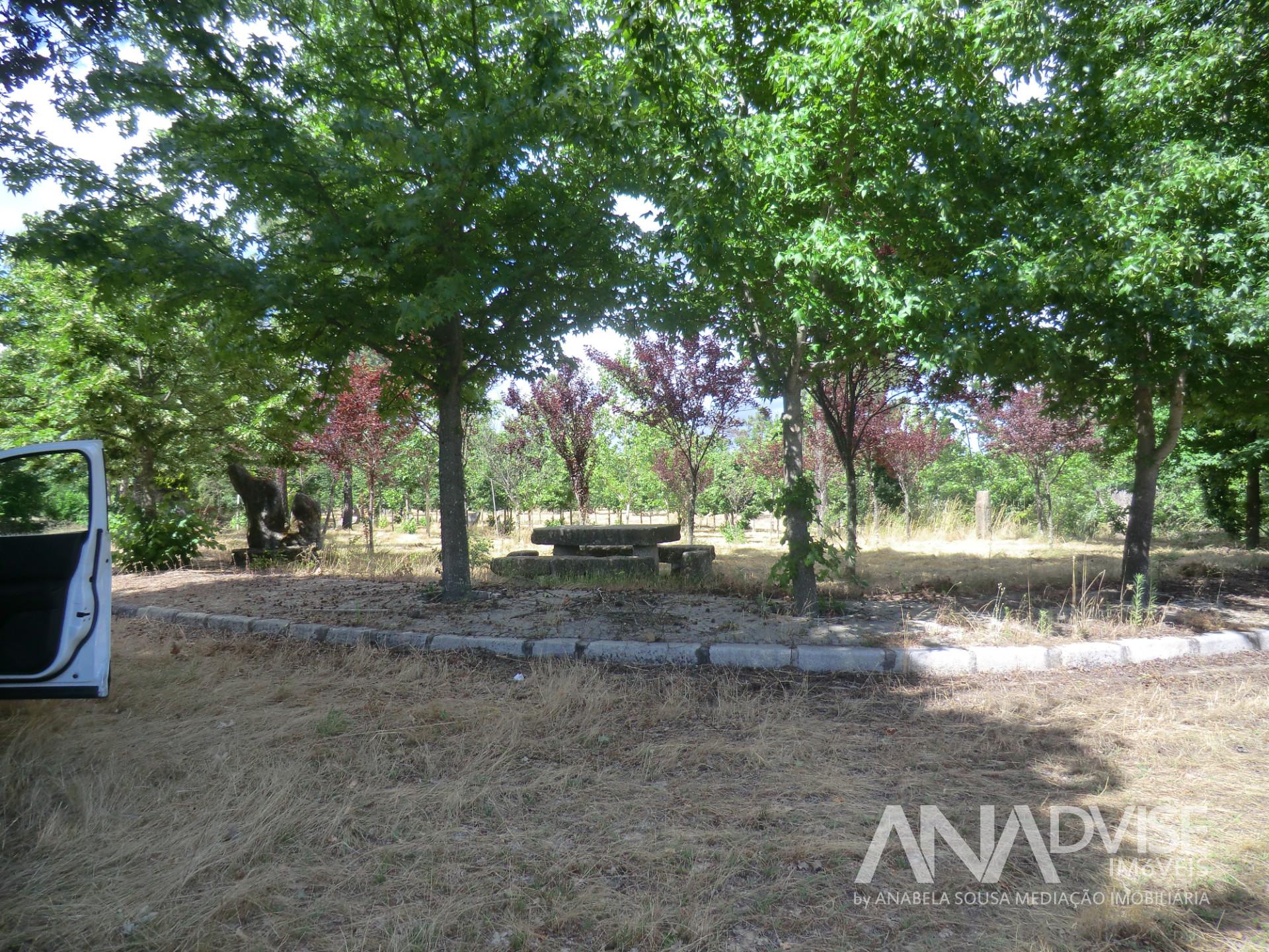 Quinta  Venda em Bodiosa,Viseu