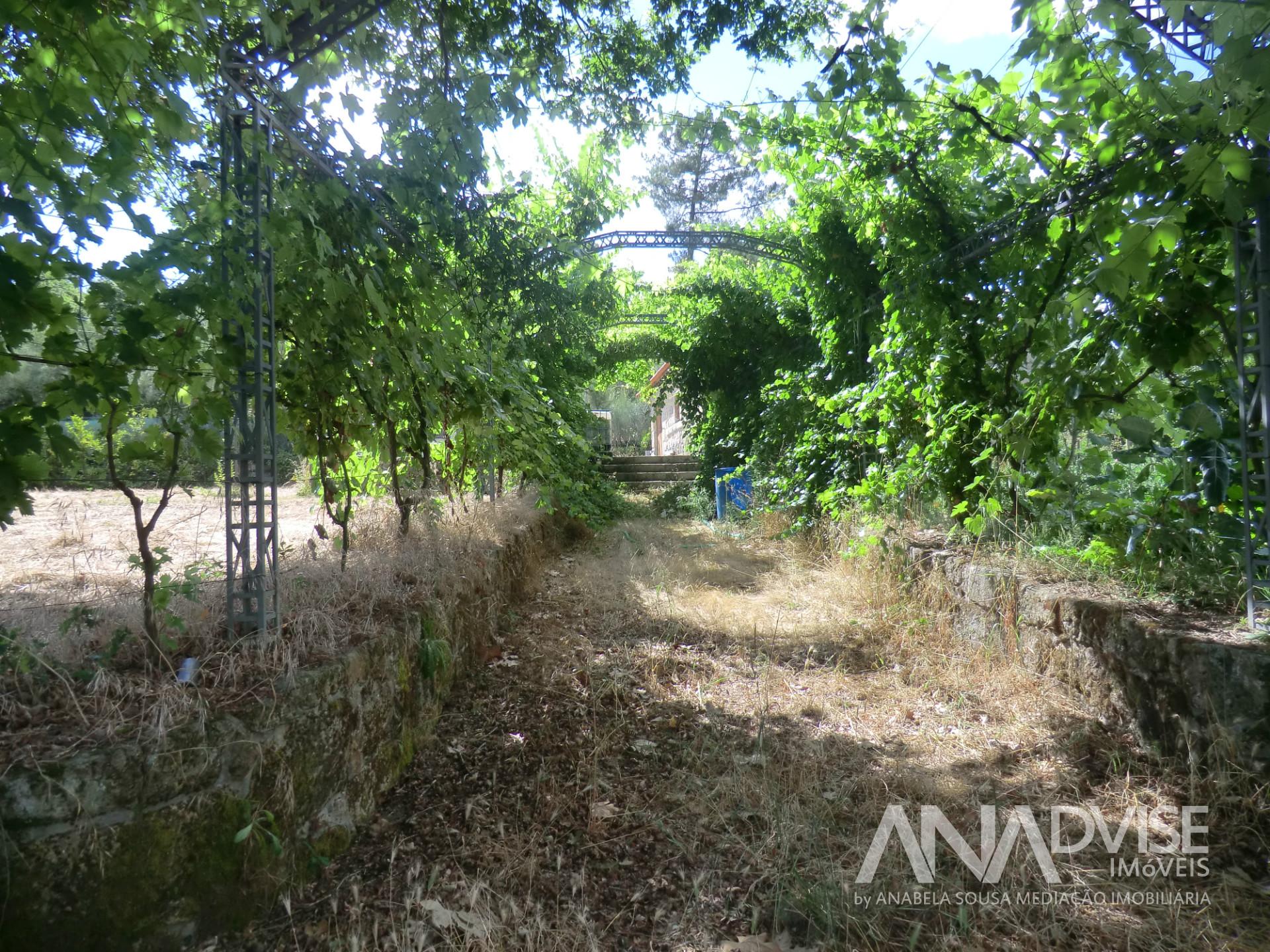 Quinta  Venda em Bodiosa,Viseu