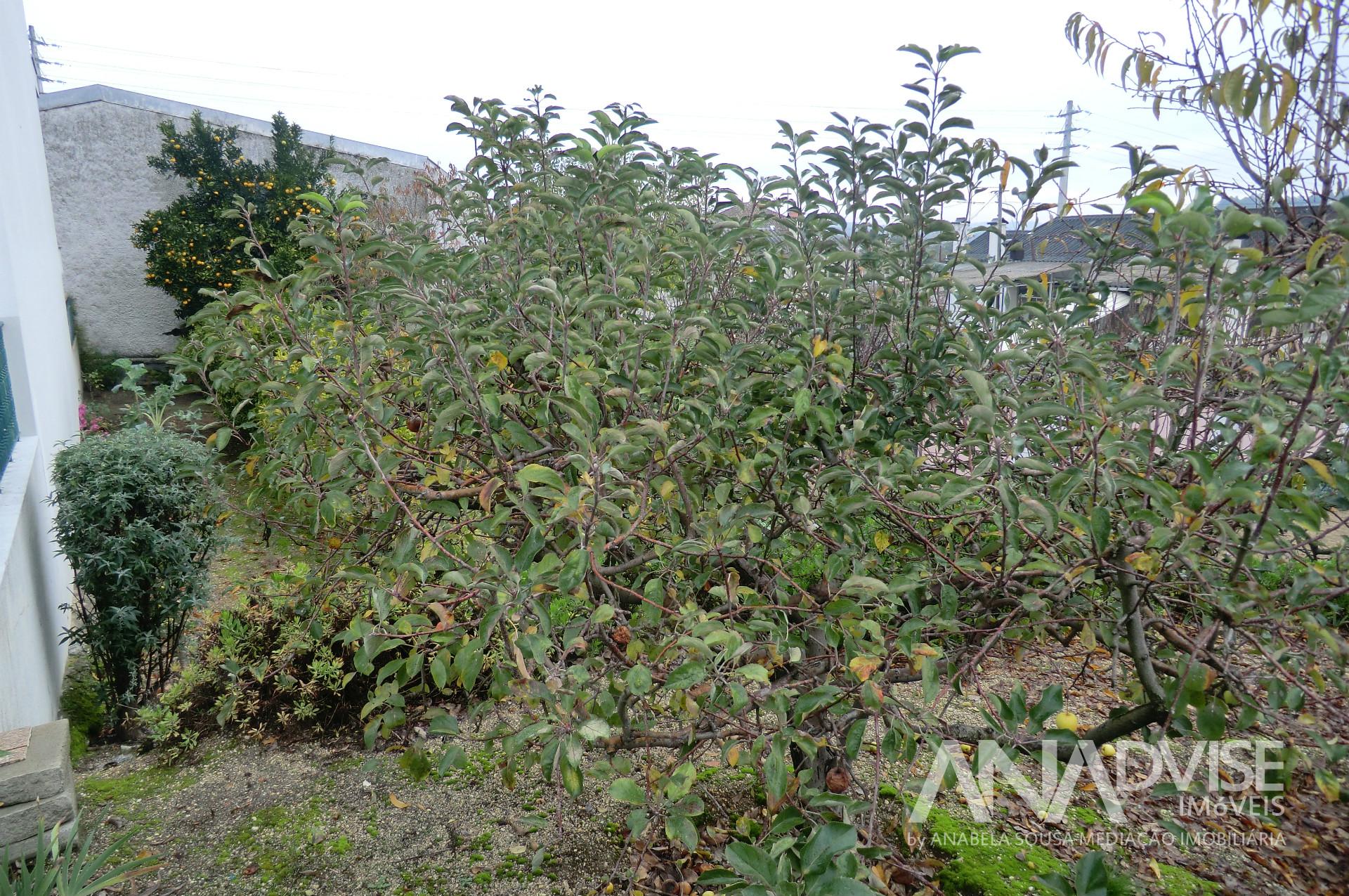 Terreno Para Construção  Venda em Viseu,Viseu