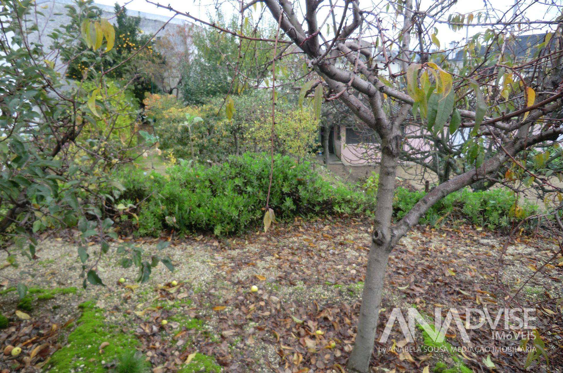 Terreno Para Construção  Venda em Viseu,Viseu