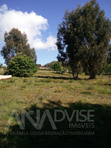 Terreno  Venda em Abraveses,Viseu