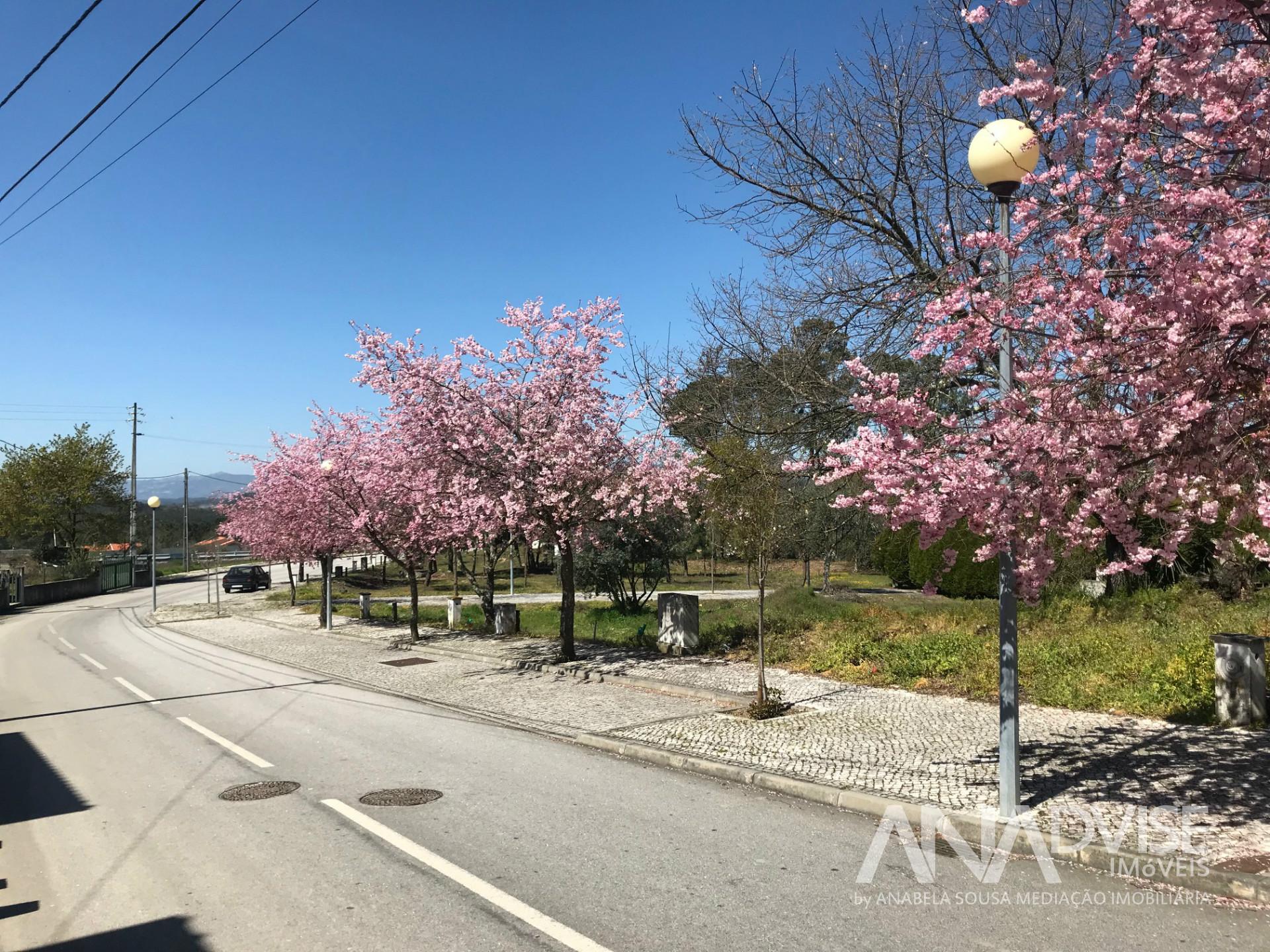 Lote de Terreno  Venda em Orgens,Viseu