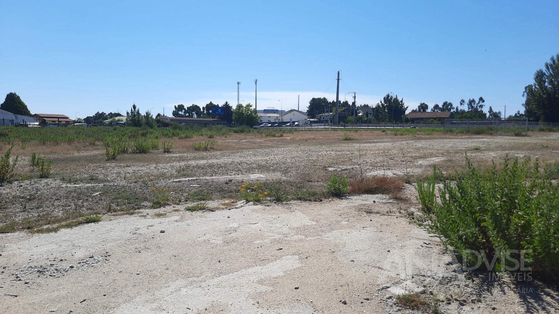 Lote de Terreno  Venda em Repeses e São Salvador,Viseu