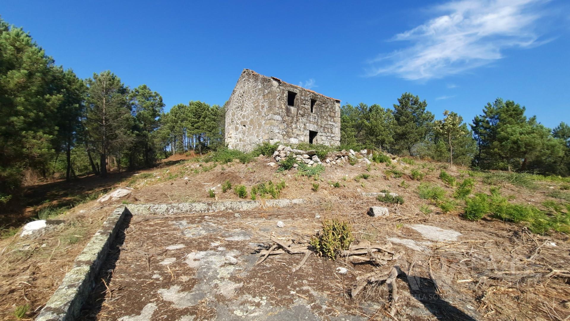 Quintinha  Venda em Abrunhosa-a-Velha,Mangualde