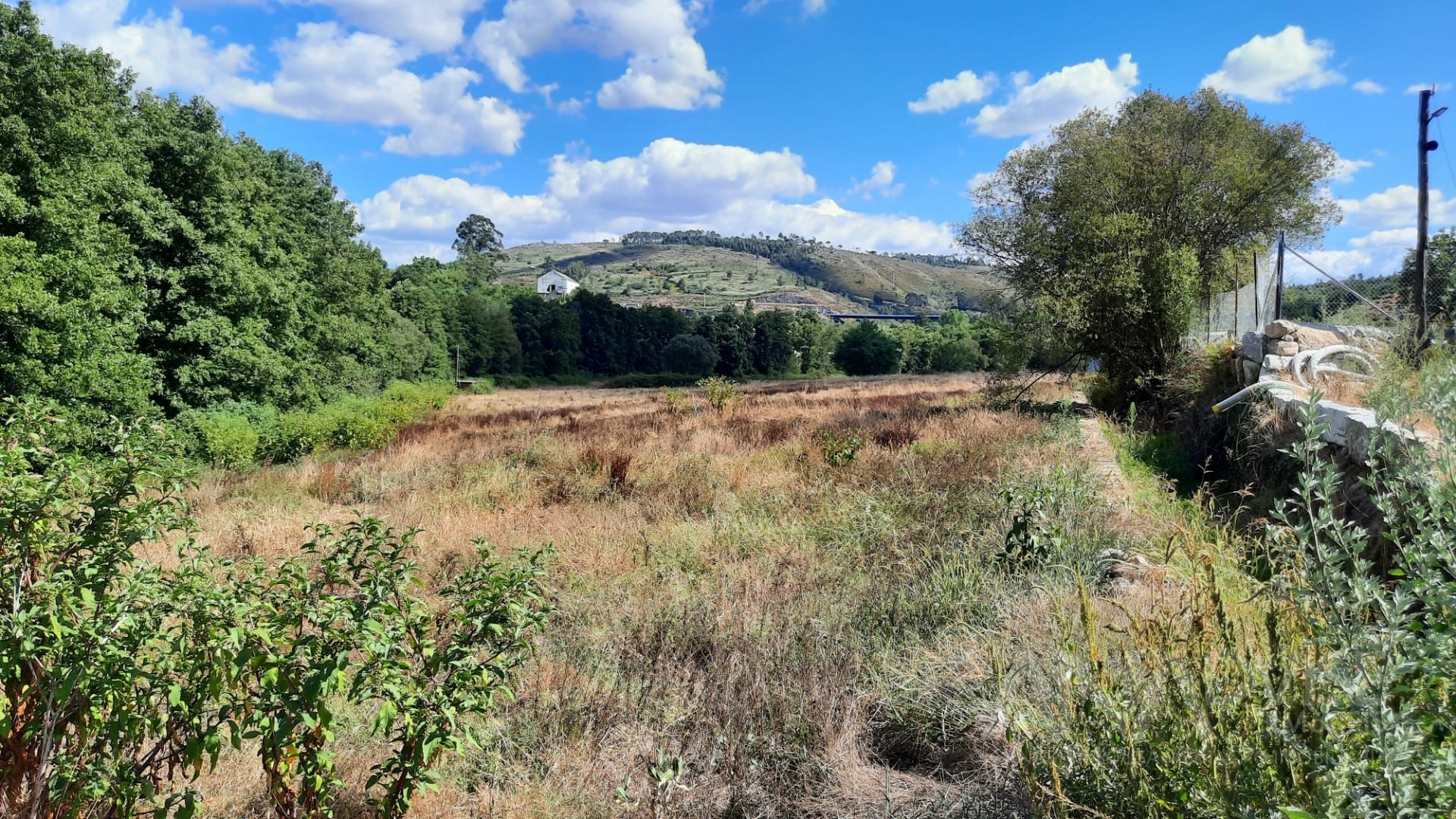 Quinta  Venda em Fragosela,Viseu