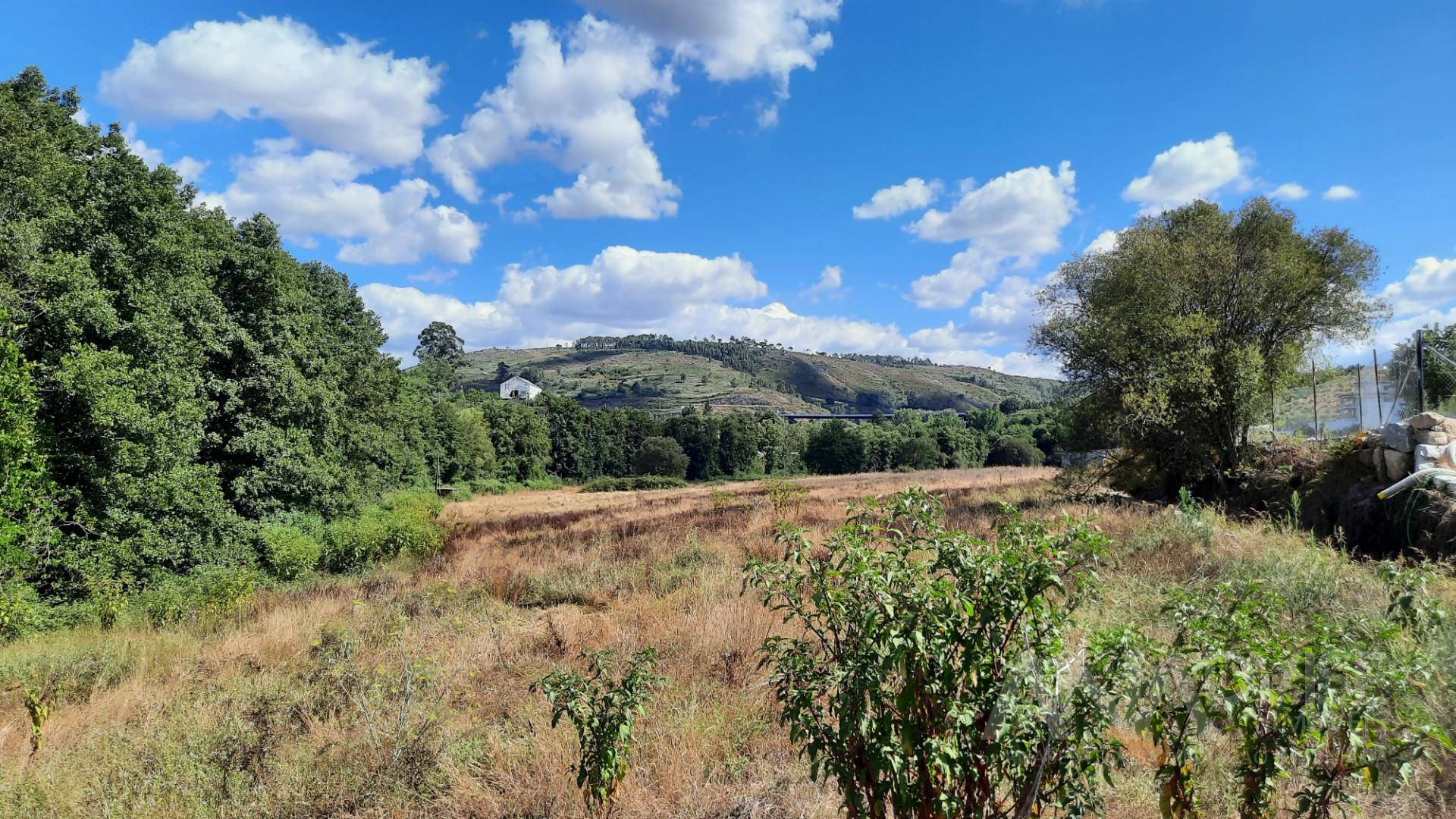 Quinta  Venda em Fragosela,Viseu