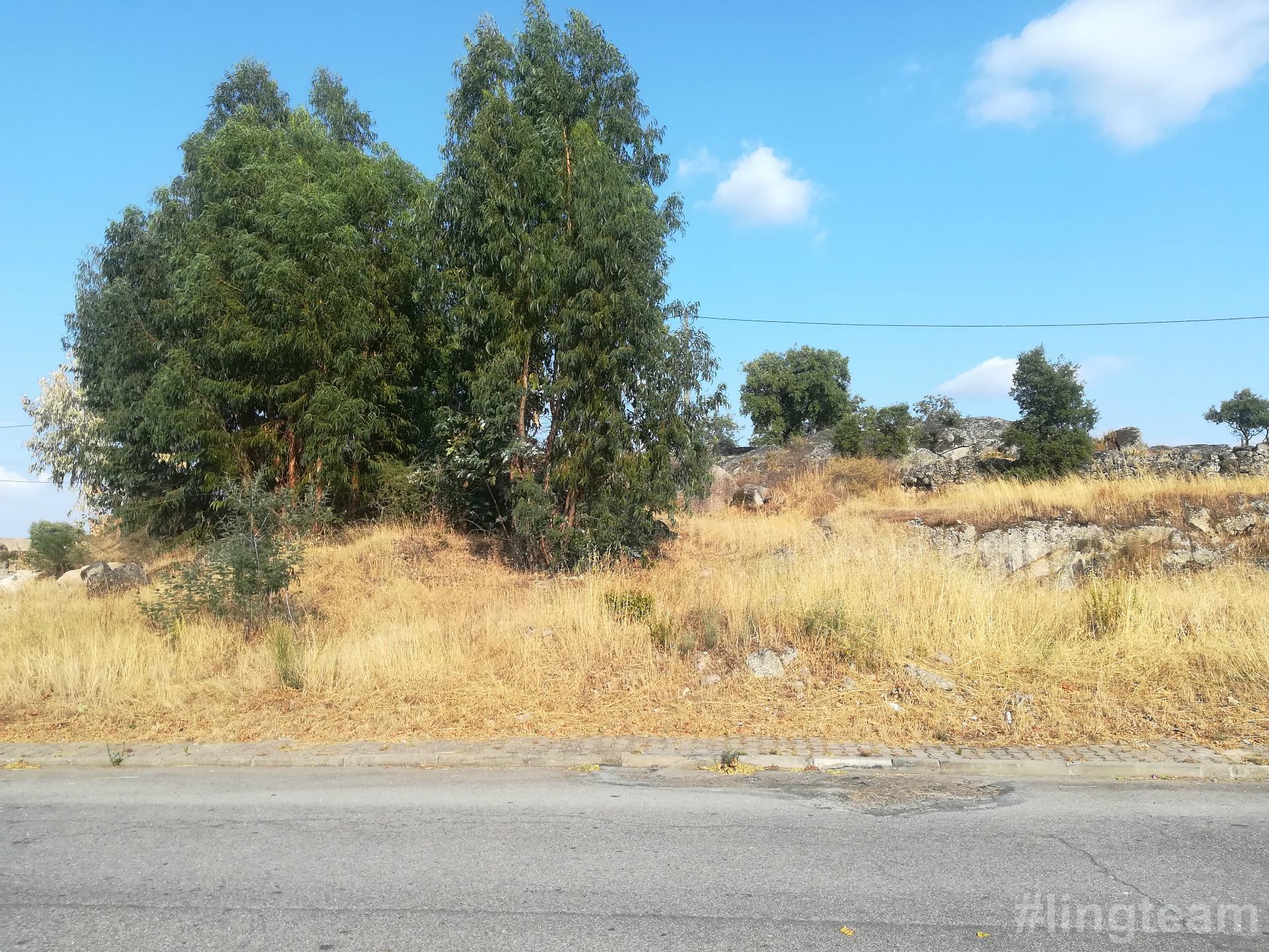 Lote de Terreno na zona da Quinta da Carapalha em Castelo Branco