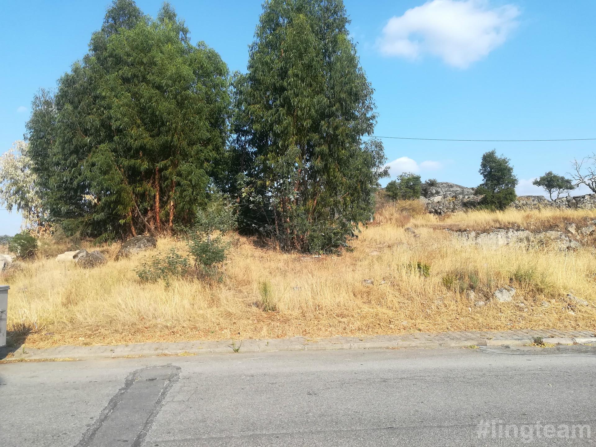 Lote de Terreno na zona da Quinta da Carapalha em Castelo Branco