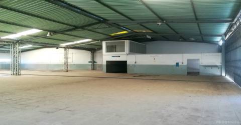 Armazém  Venda em Castelo Branco,Castelo Branco