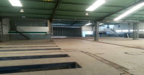 Armazém  Venda em Castelo Branco,Castelo Branco