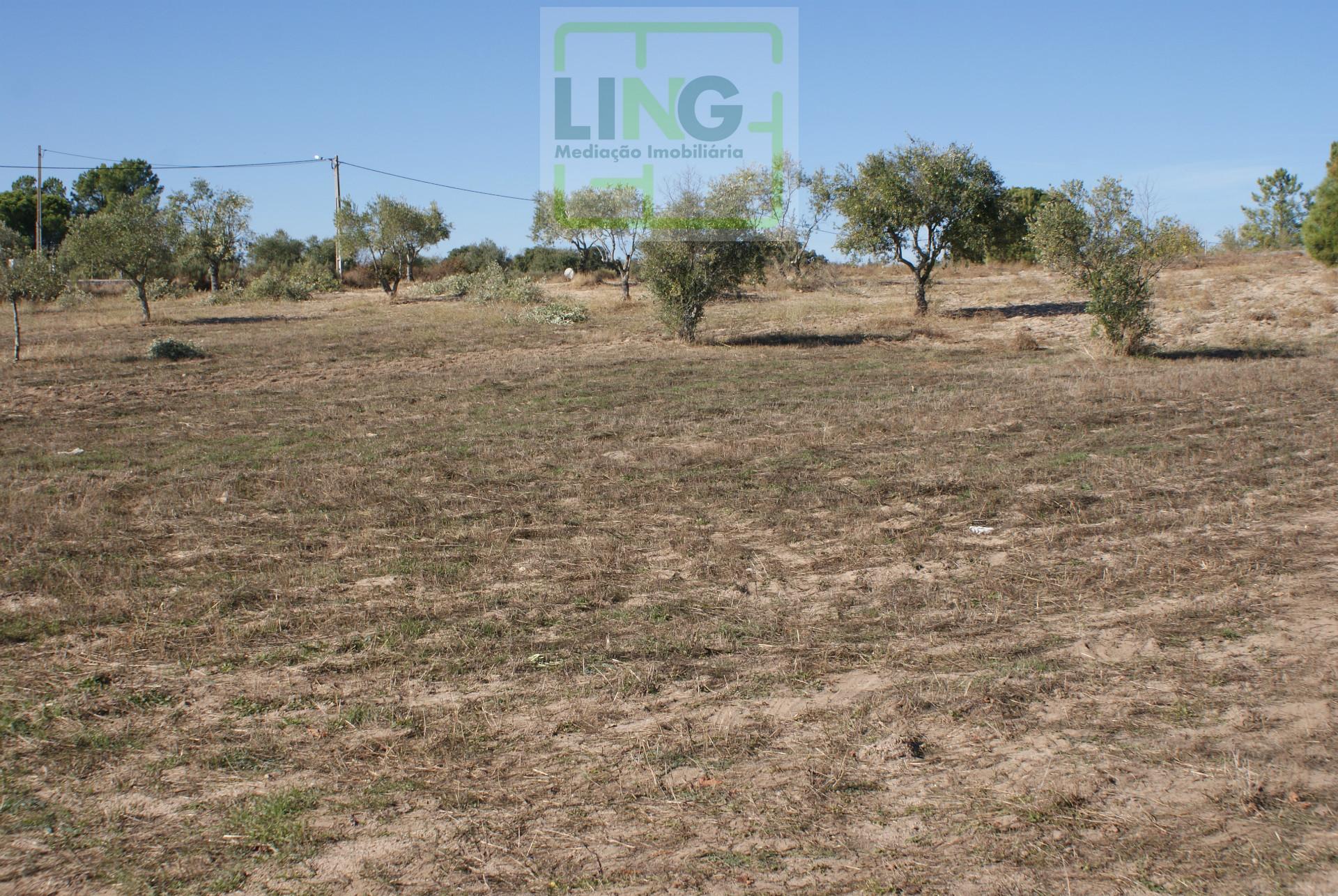 Terreno com 16500 m2 em Póvoa de Rio de Moinhos