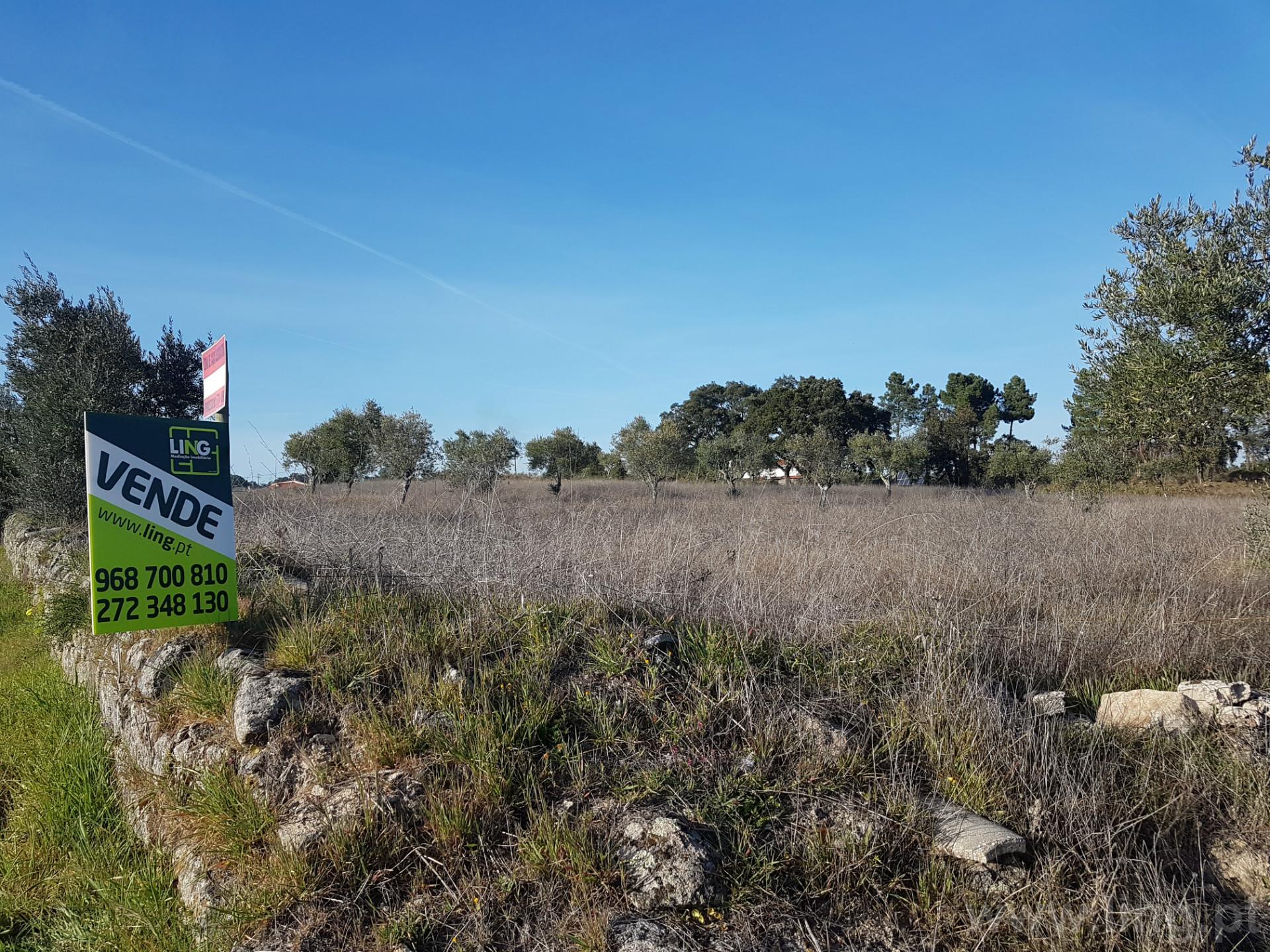 Terreno com 16500 m2 em Póvoa de Rio de Moinhos