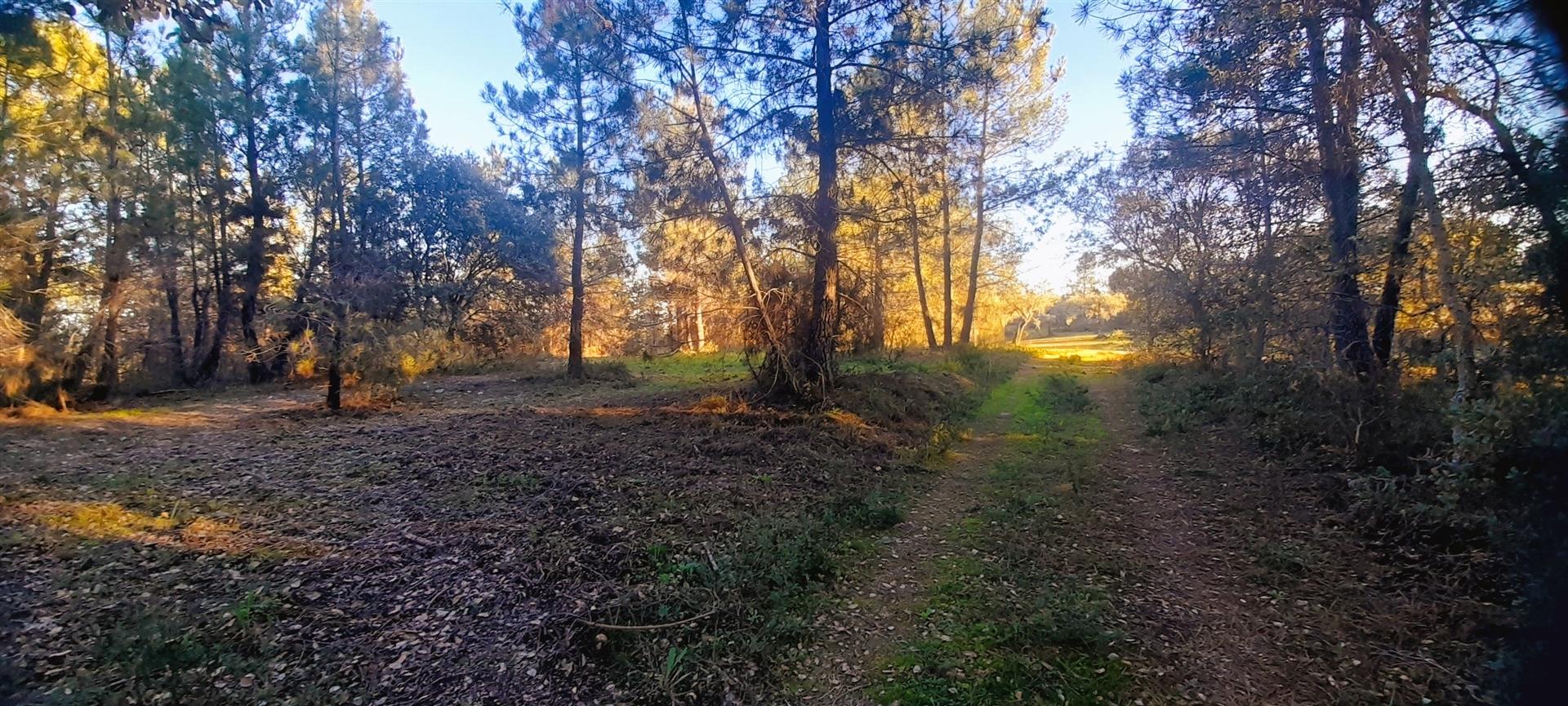 Quinta - Urbano + Rústico - Mais de 5000m2 - Tinalhas