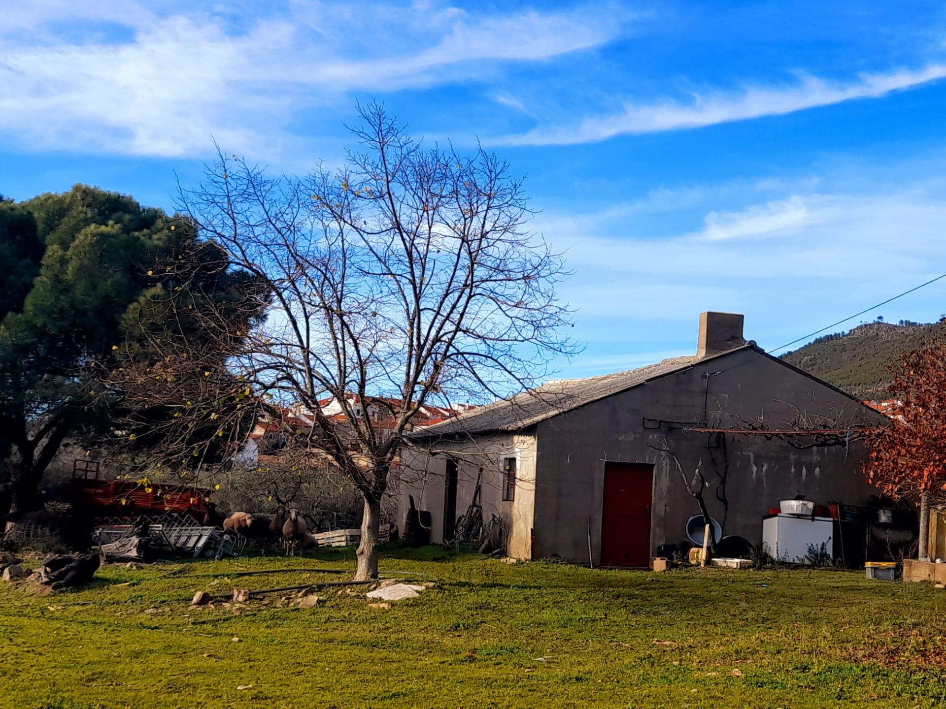 Quinta  Venda em Penha Garcia,Idanha-a-Nova