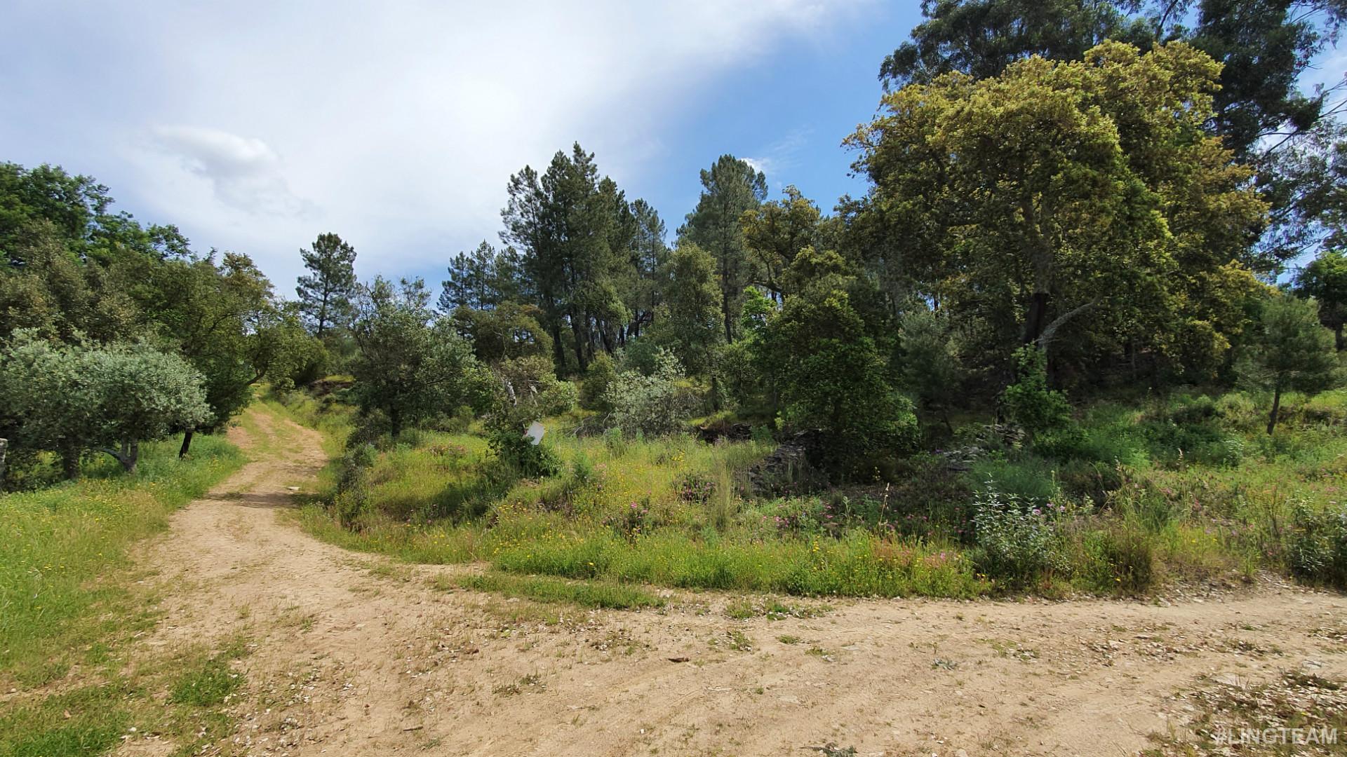 Quinta  Venda em Freixial e Juncal do Campo,Castelo Branco