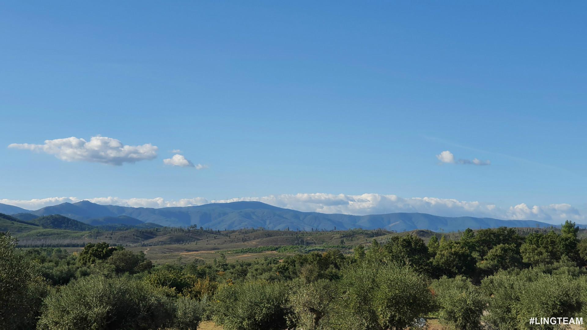 Quinta  Venda em Freixial e Juncal do Campo,Castelo Branco