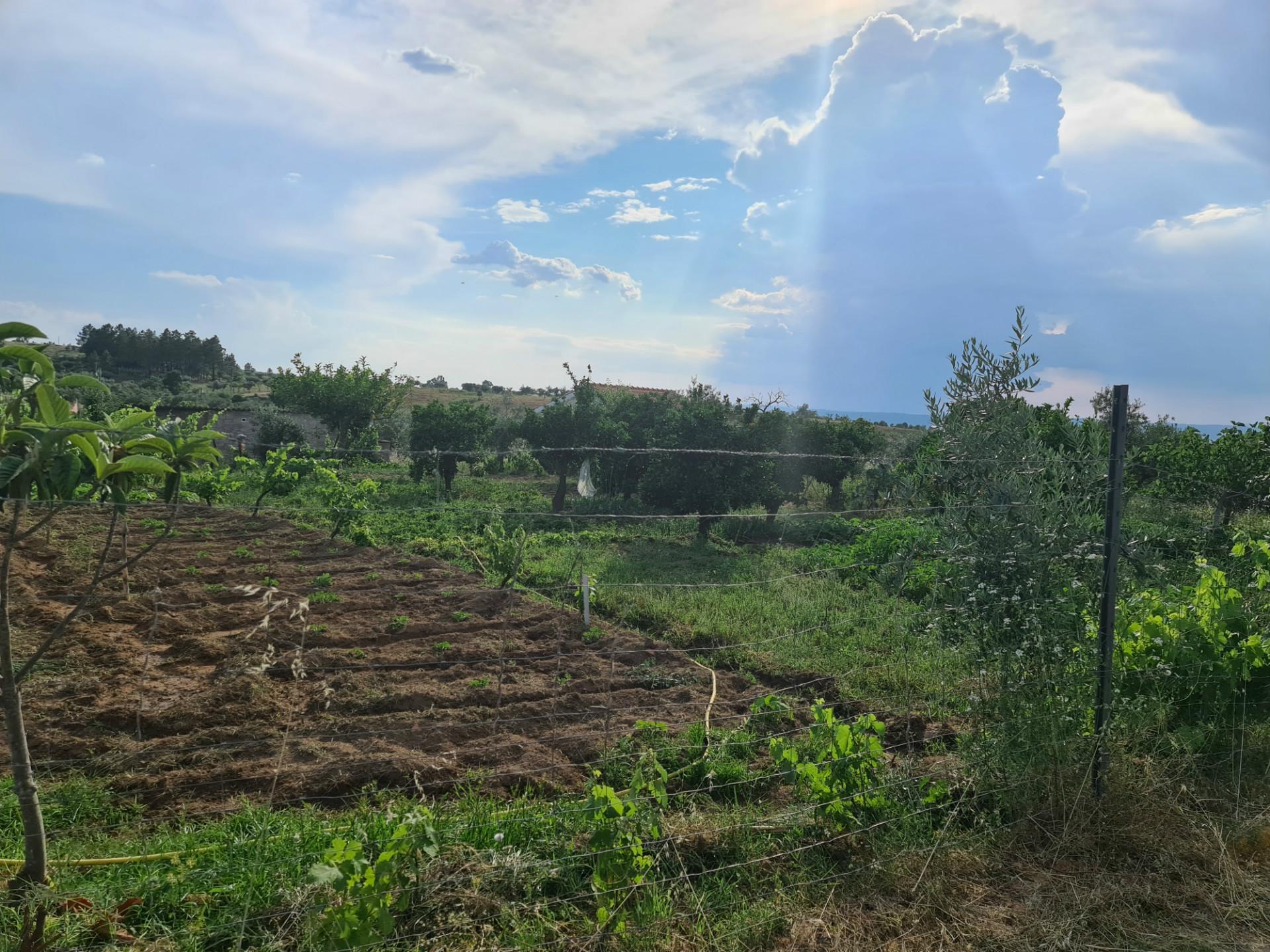 Excelente Quinta com 7000m2, Ladoeiro, Idanha-a-nova, Castelo Branco