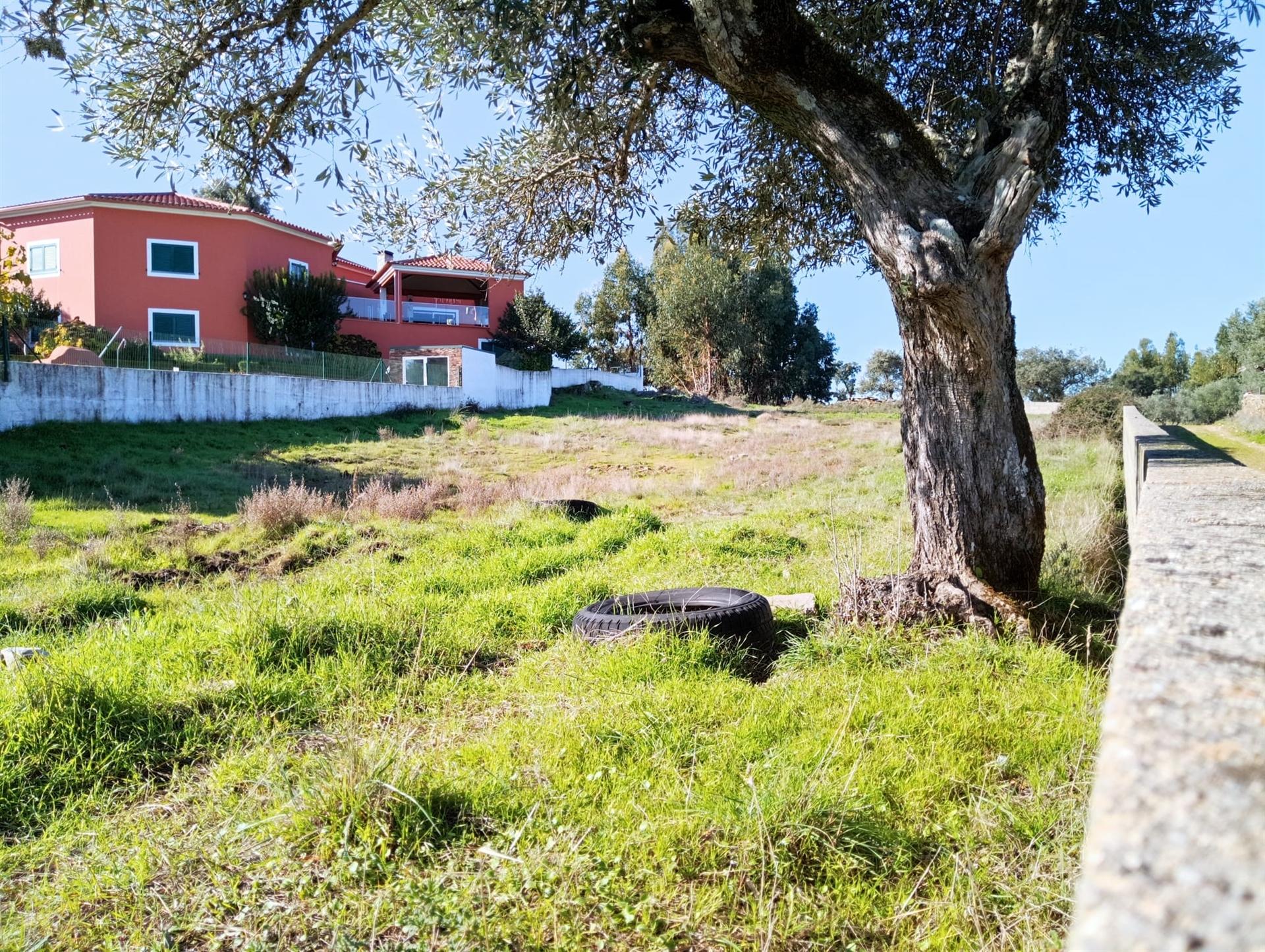 Terreno Urbano  Venda em Benquerenças,Castelo Branco