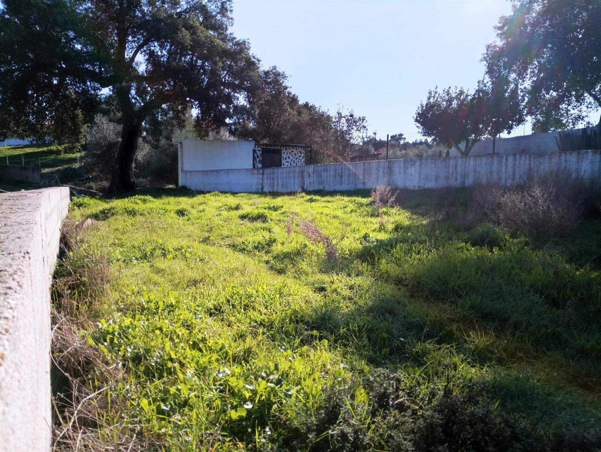 Terreno Urbano  Venda em Benquerenças,Castelo Branco