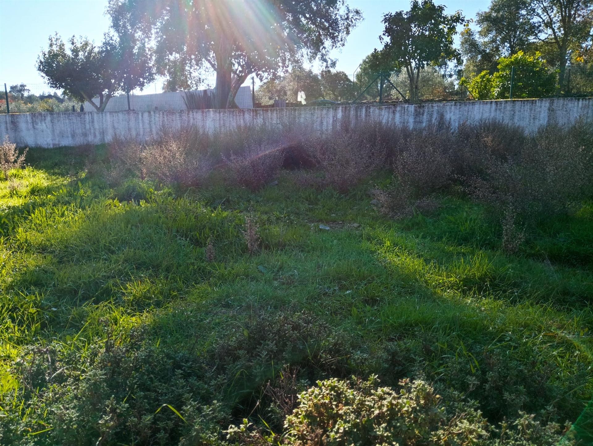 Terreno Urbano  Venda em Benquerenças,Castelo Branco