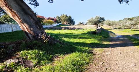 Terreno Urbano  Venda em Benquerenças,Castelo Branco