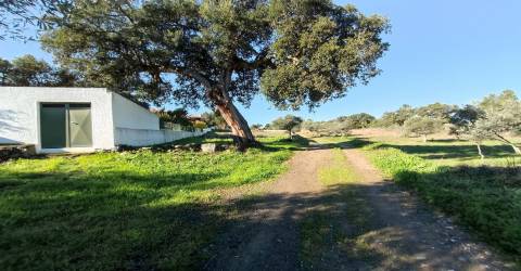 Terreno Urbano  Venda em Benquerenças,Castelo Branco