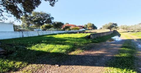 Terreno Urbano  Venda em Benquerenças,Castelo Branco