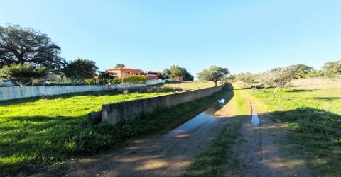 Terreno Urbano  Venda em Benquerenças,Castelo Branco