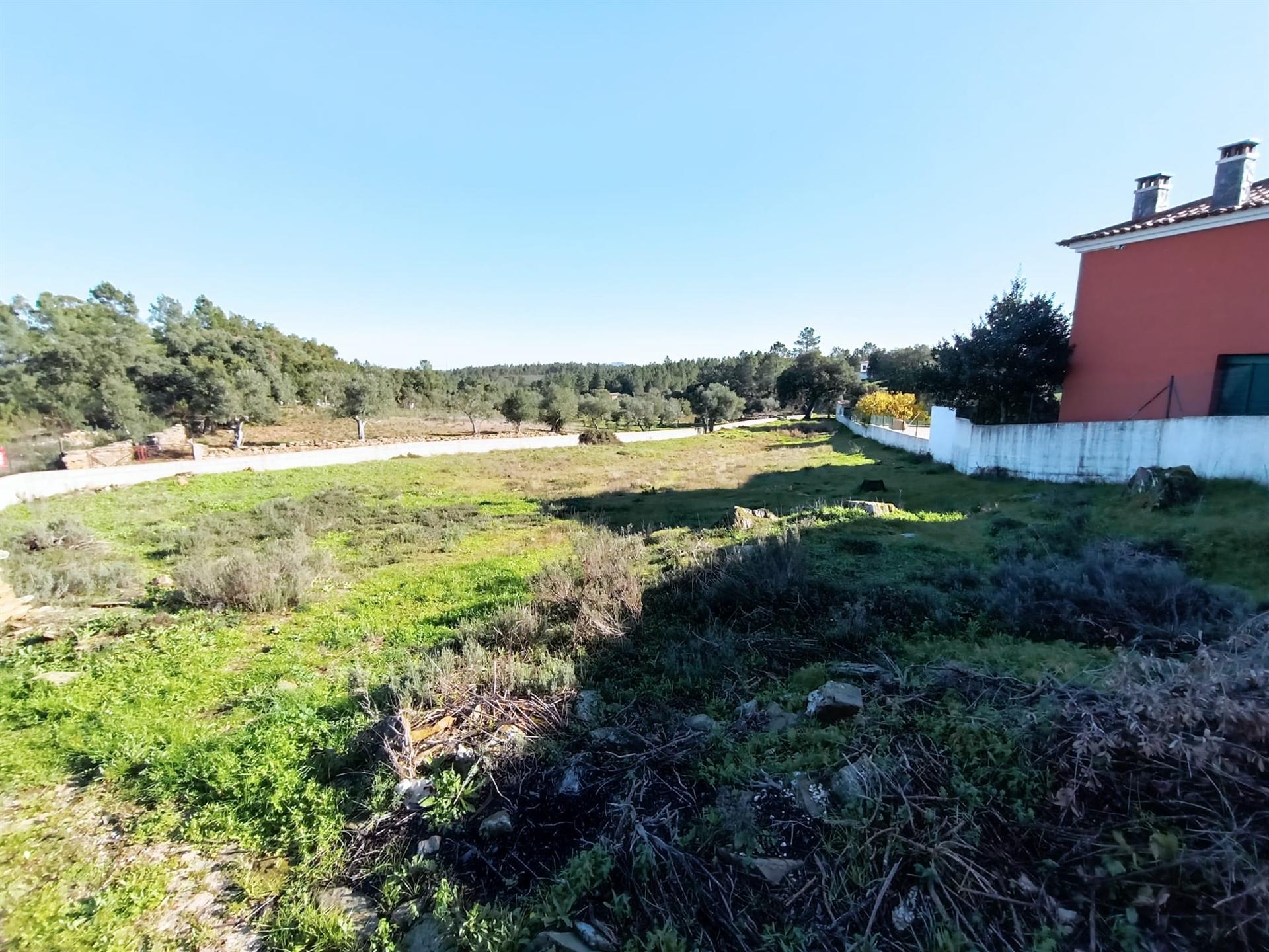 Terreno Urbano  Venda em Benquerenças,Castelo Branco