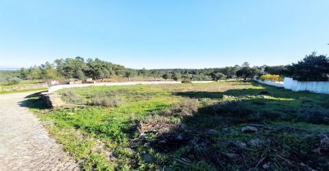 Terreno Urbano  Venda em Benquerenças,Castelo Branco