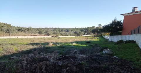 Terreno Urbano  Venda em Benquerenças,Castelo Branco