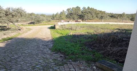 Terreno Urbano  Venda em Benquerenças,Castelo Branco
