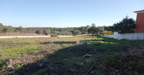 Terreno Urbano  Venda em Benquerenças,Castelo Branco