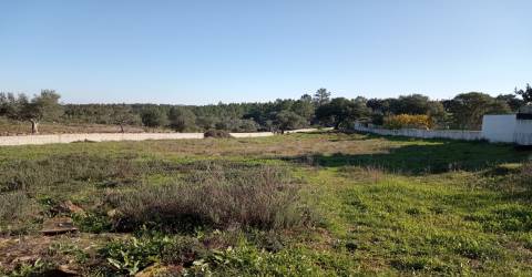 Terreno Urbano  Venda em Benquerenças,Castelo Branco