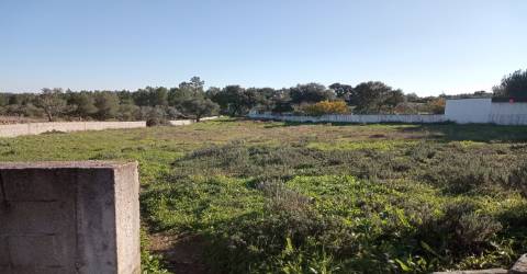Terreno Urbano  Venda em Benquerenças,Castelo Branco