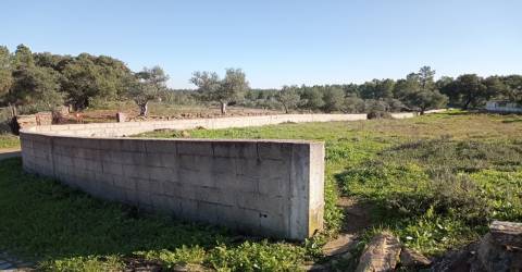 Terreno Urbano  Venda em Benquerenças,Castelo Branco