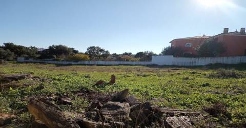 Terreno Urbano  Venda em Benquerenças,Castelo Branco