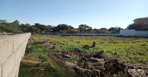 Terreno Urbano  Venda em Benquerenças,Castelo Branco