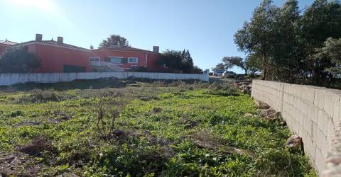 Terreno Urbano  Venda em Benquerenças,Castelo Branco