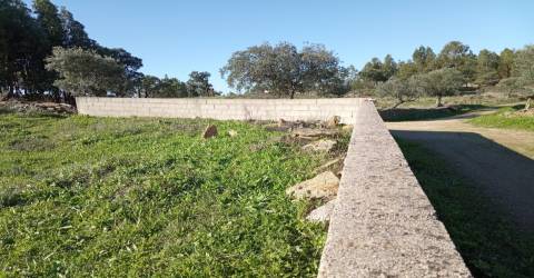 Terreno Urbano  Venda em Benquerenças,Castelo Branco