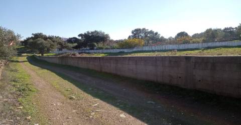 Terreno Urbano  Venda em Benquerenças,Castelo Branco
