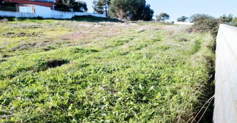Terreno Urbano  Venda em Benquerenças,Castelo Branco