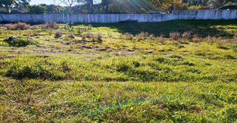 Terreno Urbano  Venda em Benquerenças,Castelo Branco