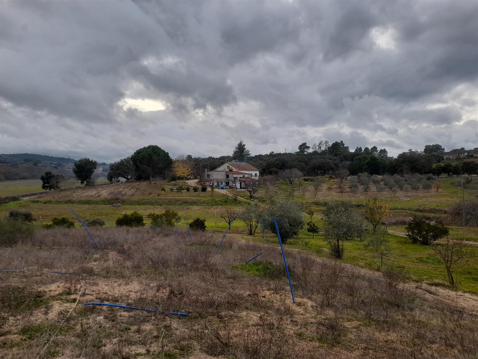 Quinta  Venda em Póvoa de Rio de Moinhos e Cafede,Castelo Branco