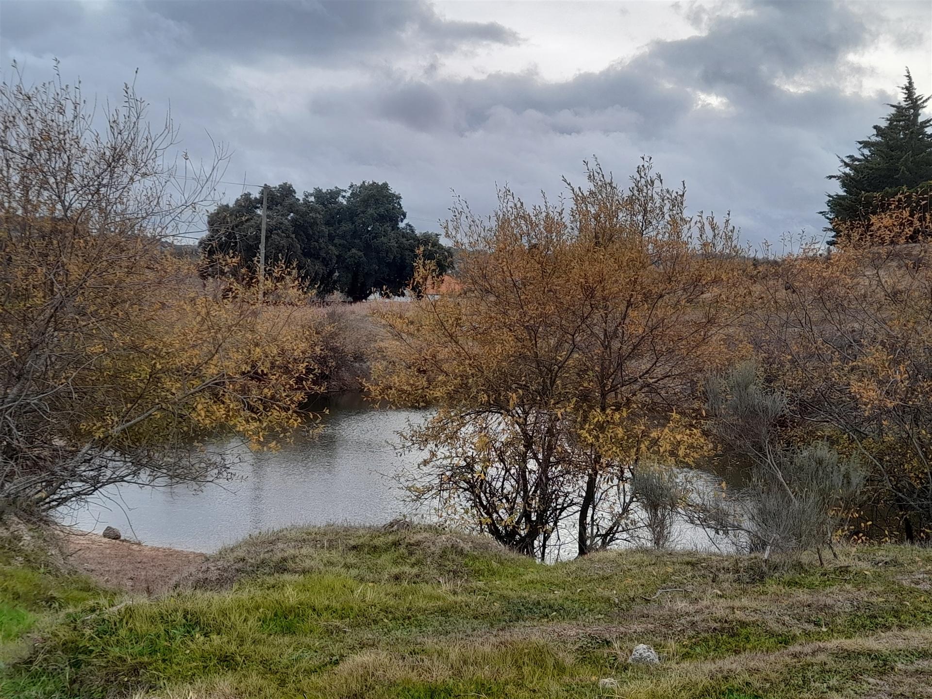 Quinta  Venda em Póvoa de Rio de Moinhos e Cafede,Castelo Branco