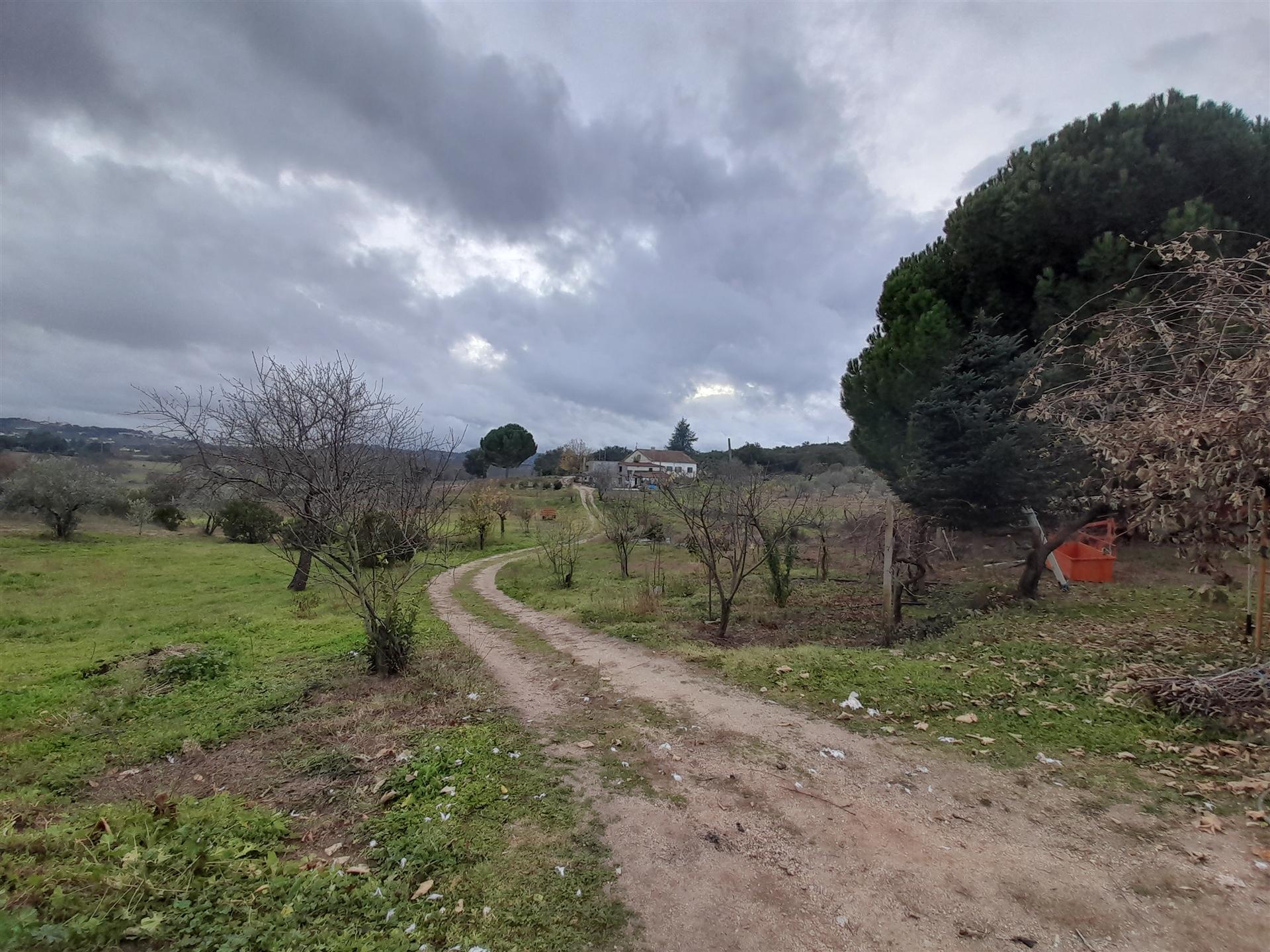 Quinta  Venda em Póvoa de Rio de Moinhos e Cafede,Castelo Branco