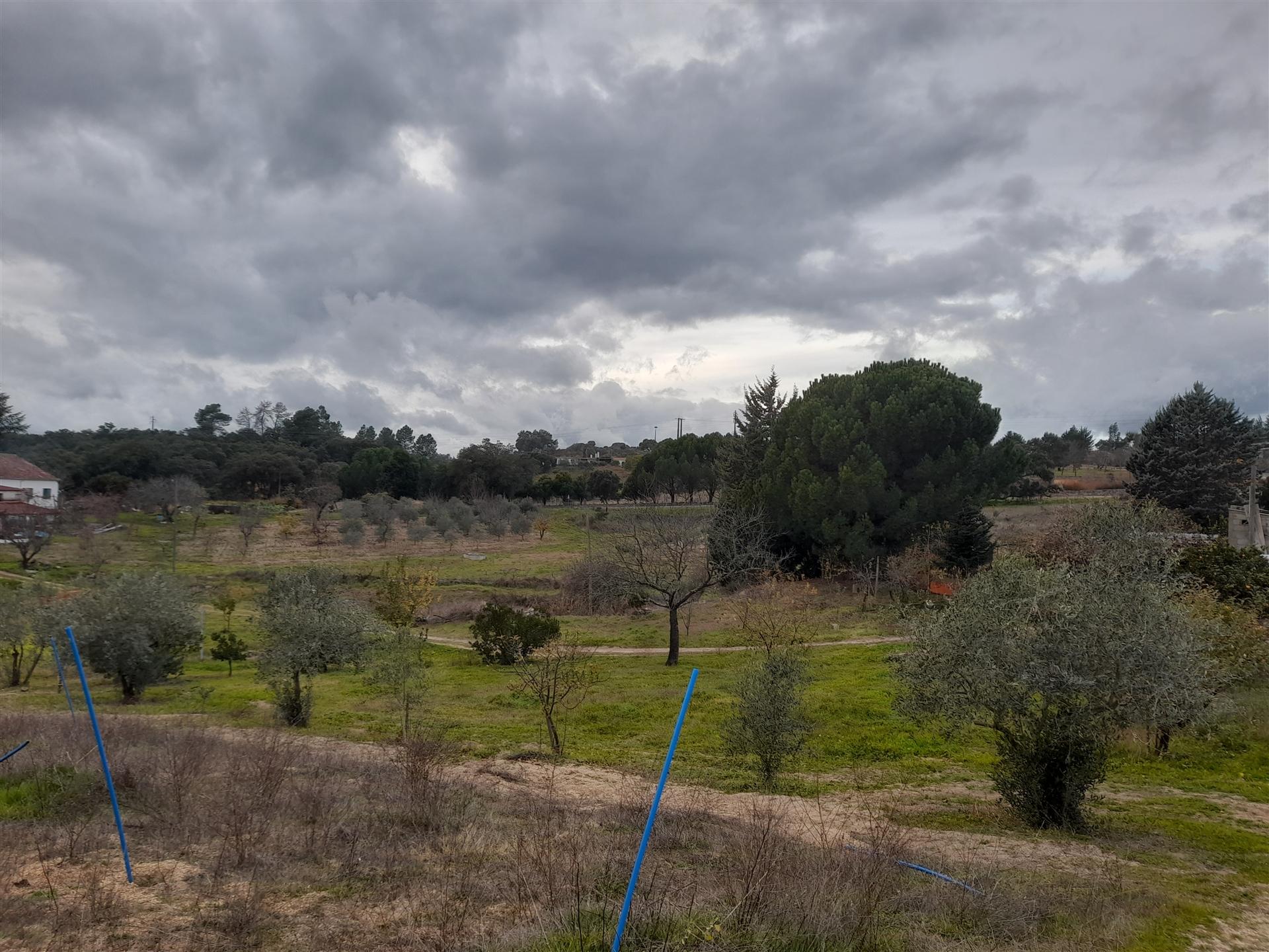 Quinta  Venda em Póvoa de Rio de Moinhos e Cafede,Castelo Branco