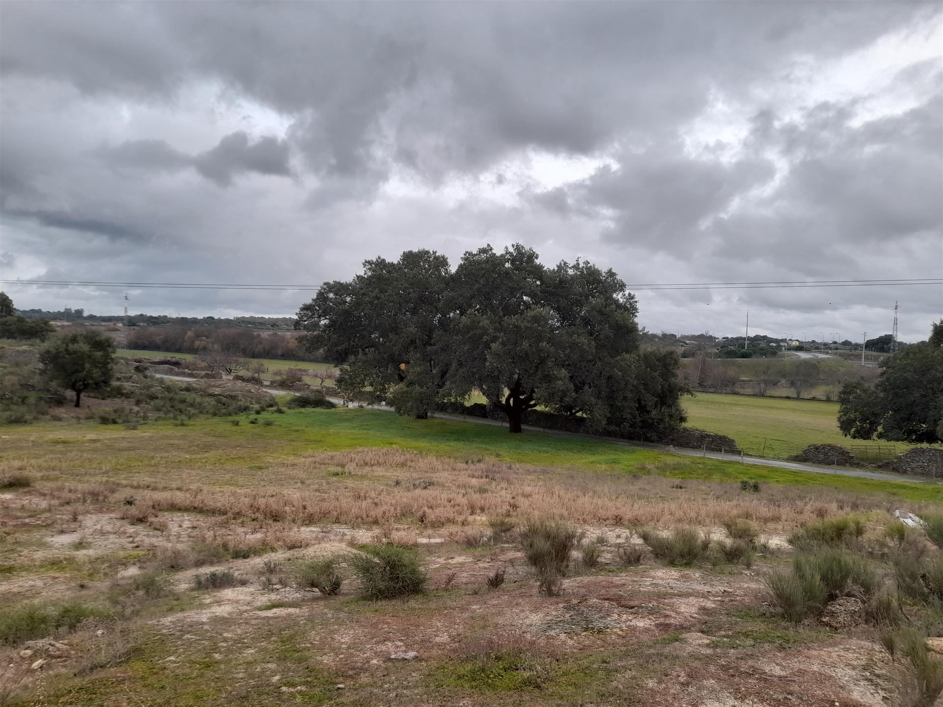 Quinta  Venda em Póvoa de Rio de Moinhos e Cafede,Castelo Branco